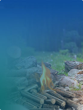 biomass pellets production