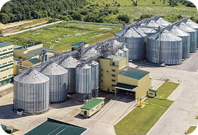 ruminant feed production line