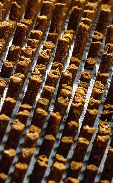 ruminant feed production line