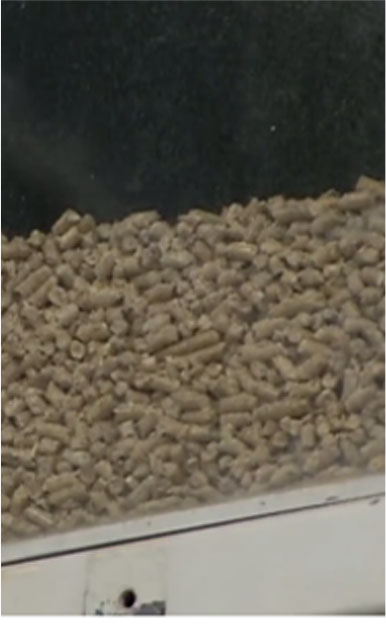 livestock feed production line