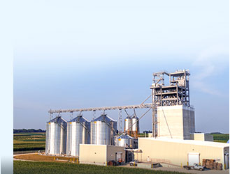 poultry feed production line