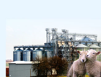 sheep feed production line