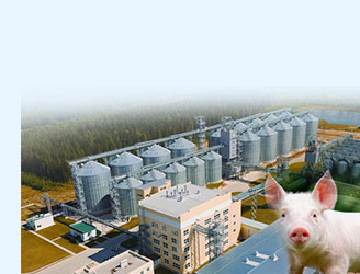 pig feed production line