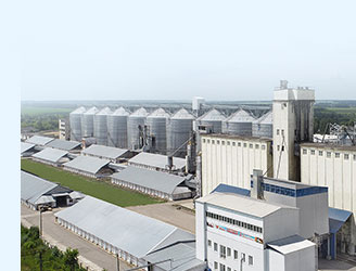 livestock feed production line